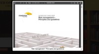 Image of Risk management— Principles and guidelines