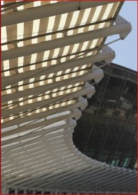 Image of Science, technology, innovation and entrepreneurship: 2009, the year of creativity and innovation
