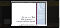 Image of Enterprise Risk Management — Integrated Framework