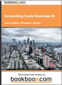 Image of Accounting Cycle iii