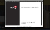 Image of Enterprise Risk Management in Action