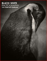 Image of Black+White Photography