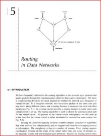 Image of Routing in Data Networks