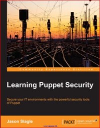 Image of Learning Puppet Security