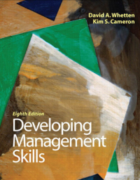Image of DEVELOPING MANAGEMENT SKILLS
