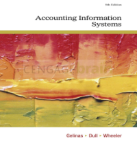 Image of Accounting Information Systems