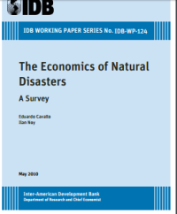 Image of The Economics of Natural Disasters A Survey