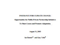 Image of Insurance for Climate Change