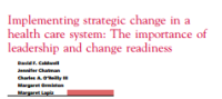 Image of Implementing strategic change in a health care system