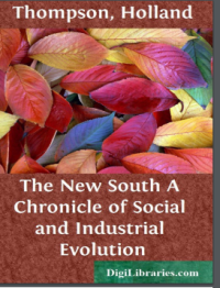 Image of THE NEW SOUTH A CHRONICLE OF SOCIAL AND INDUSTRIAL EVOLUTION
