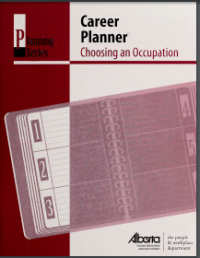 Image of Career Planner: Choosing an Occupation