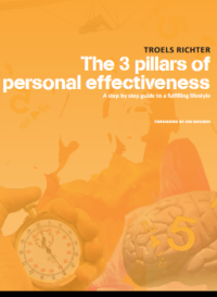 Image of The 3 pillars of  personal effectiveness