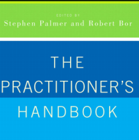 Image of THE PRACTITIONER’S HANDBOOK