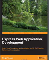 Image of Express Web Application Development