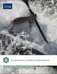 Image of Implementing an Effective Risk Appetite