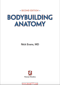 Image of bodybuilding anatomy