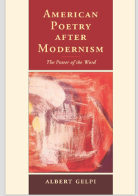 Image of AMERICAN POETRY AFTER MODERNISM