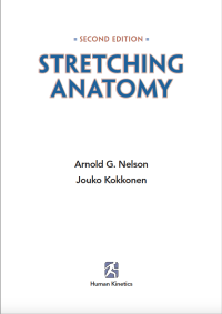 Image of stretching anatomy