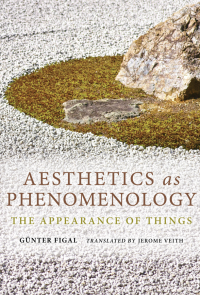 Image of AESTHETICS AS PHENOMENOLOGY