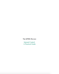 Image of The KPMG Review Internal Control: A Practical Guide