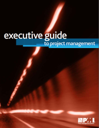 Image of Executive guide to Project Management