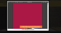 Image of A Risk Management Standard
