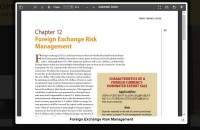 Image of Foreign Exchange Risk Management