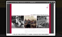 Image of A VALUE CHAIN APPROACH TO ANIMAL DISEASES RISK MANAGEMENT