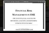Image of FINANCIAL RISK MANAGEMENT IN SME