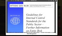 Image of Guidelines for Internal Control Standards for the Public Sector – Further Information on Entity Risk Management